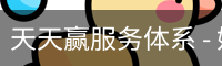 天天赢服务体系